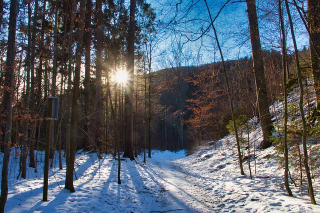 Winterspaziergang