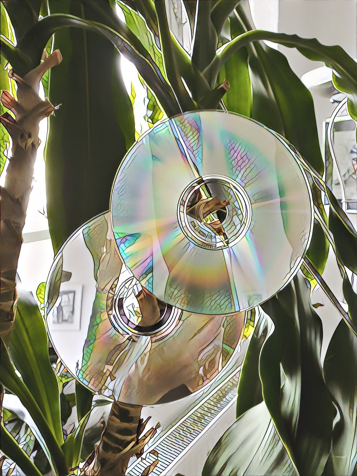 alte CDs wiederverwenden, Bild: Paula Panke